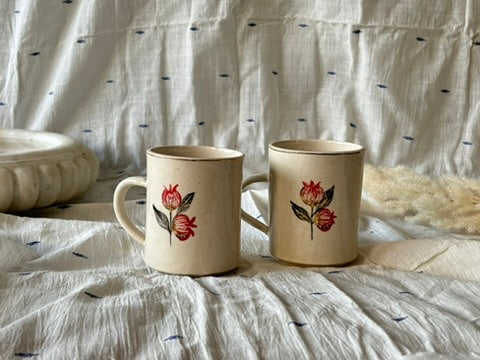 Anaar Mug