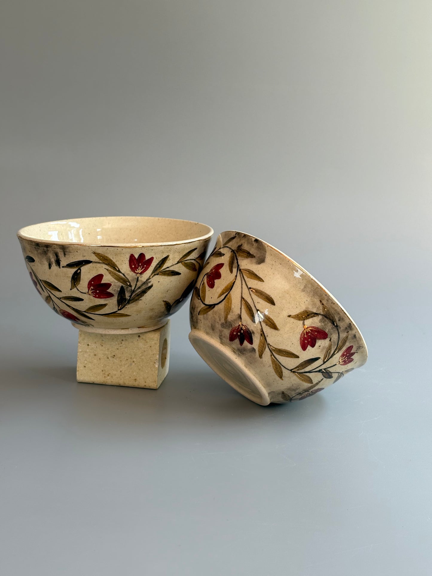 Mughal  Bowls Maroon Curry