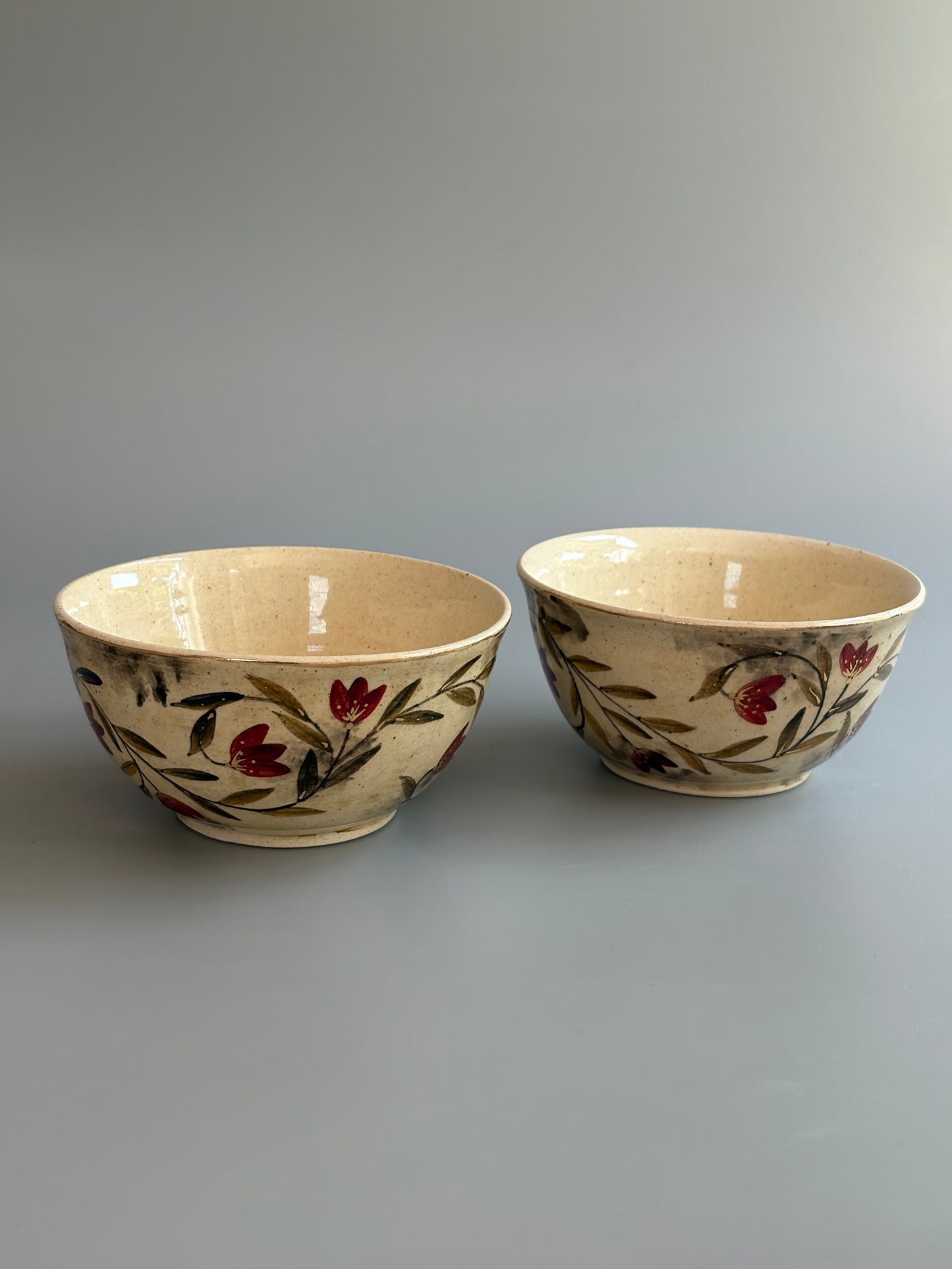 Mughal  Bowls Maroon Curry