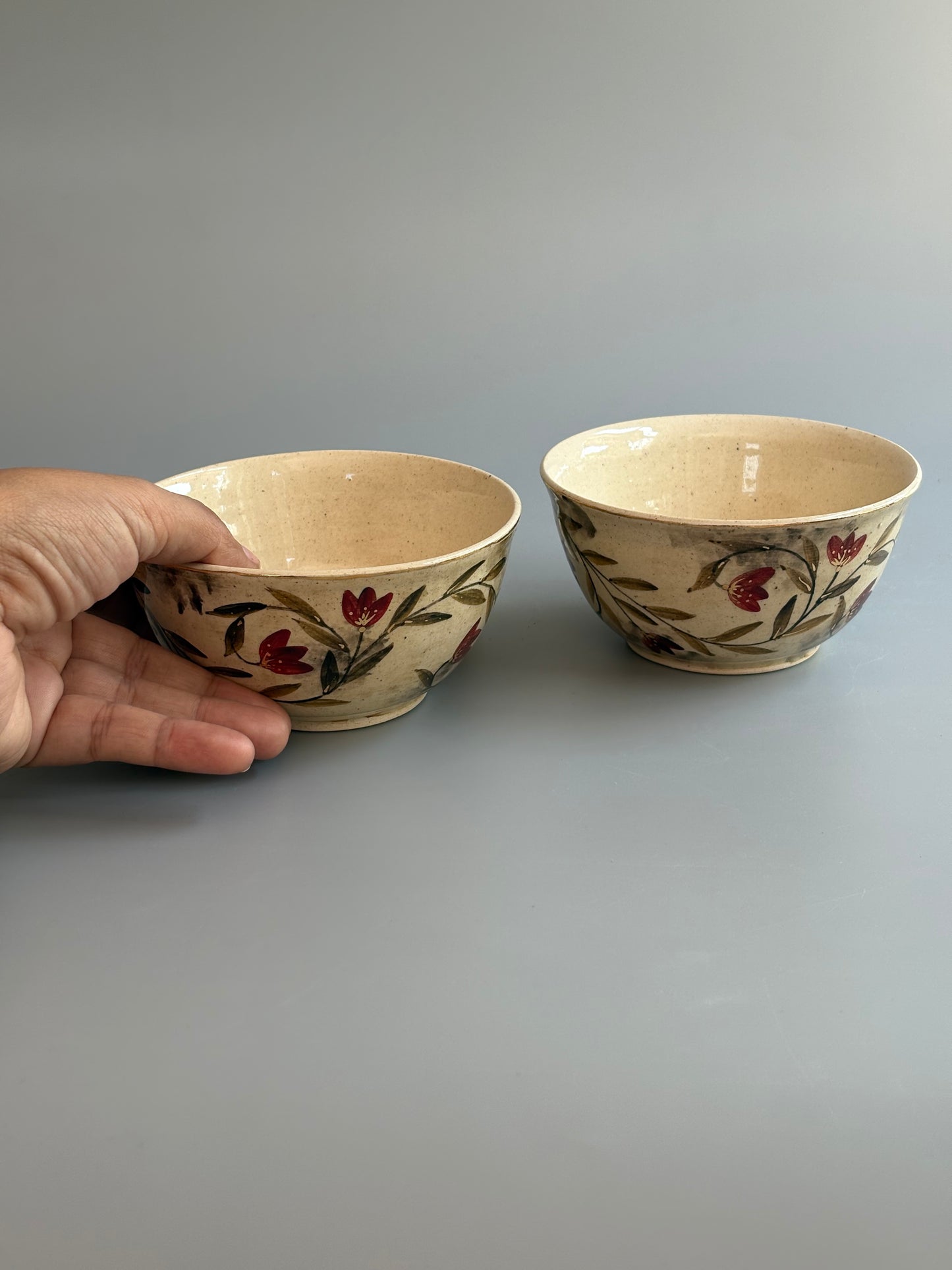 Mughal  Bowls Maroon Curry