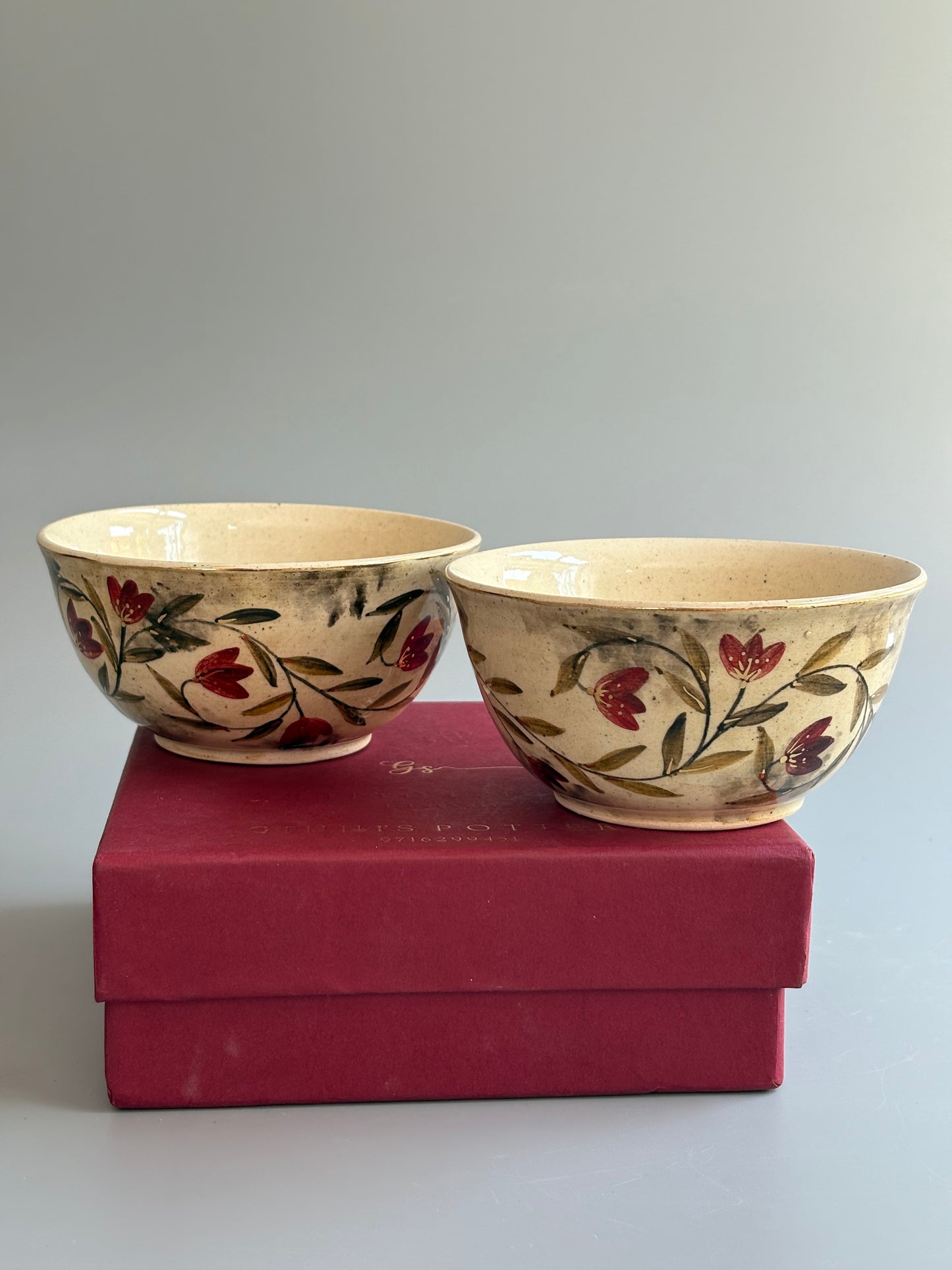 Mughal  Bowls Maroon Curry